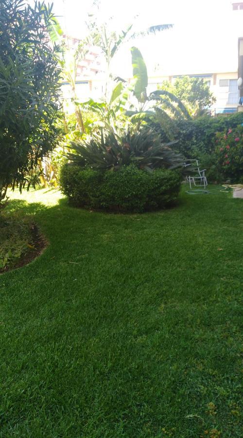 Appartement One Bed In Los Horizontes With Direct Access To Stunning Garden And Pool *
